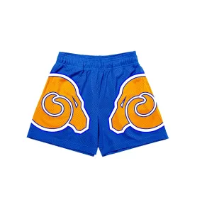 Albany State University Shorts - Mesh